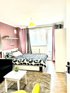 Big appartement near the city